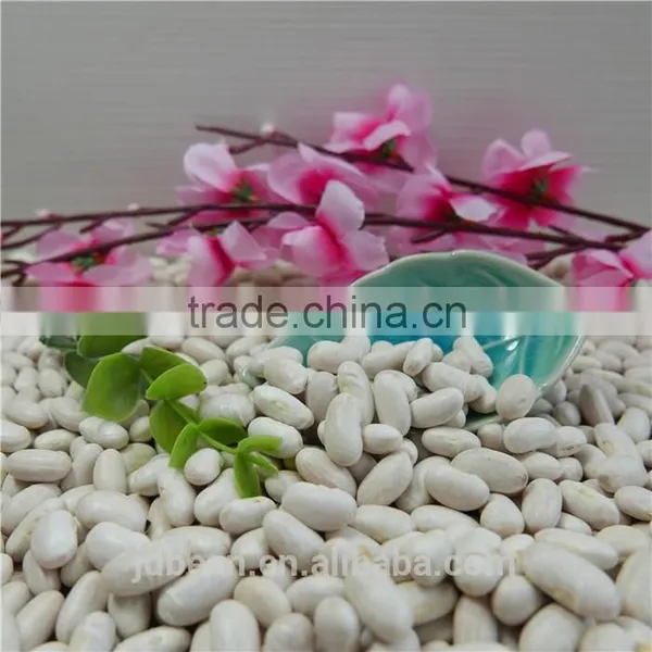 White Kidney Bean photo-6