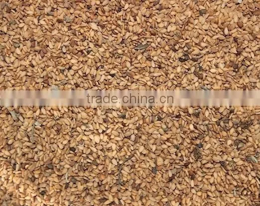 Yellow Sesame Seed