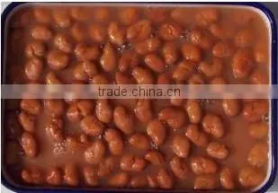 Top Quality Canned Broad Beans in Brine photo-3