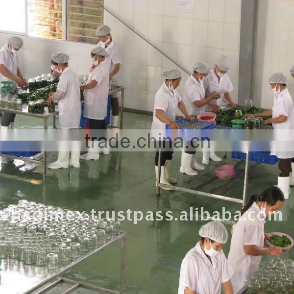 Best Selling Vietnam Canned Natural Pickled Cucumber Slices, Gherkins - Cheap Price by HAGIMEX photo-5