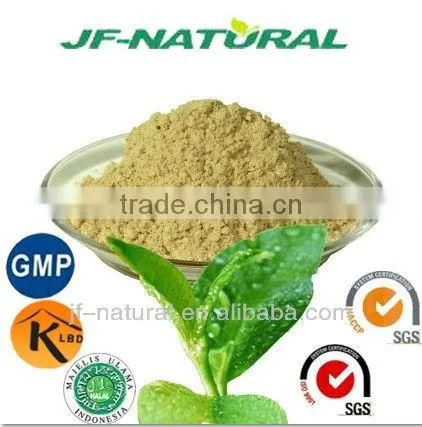 Natural Green Tea Liquid Manufacture With Good Quality photo-3