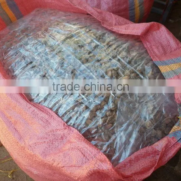 WHOLE SALE BLACK CARDAMOM FOR BANGLADESH MARKET photo-4