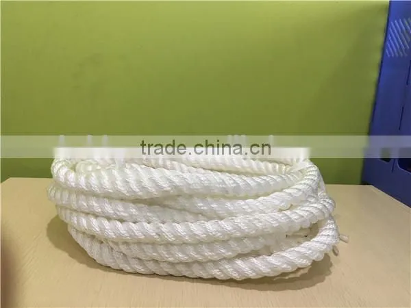 Supplier of High Strength Polyester Rope Made in Linyi photo-3