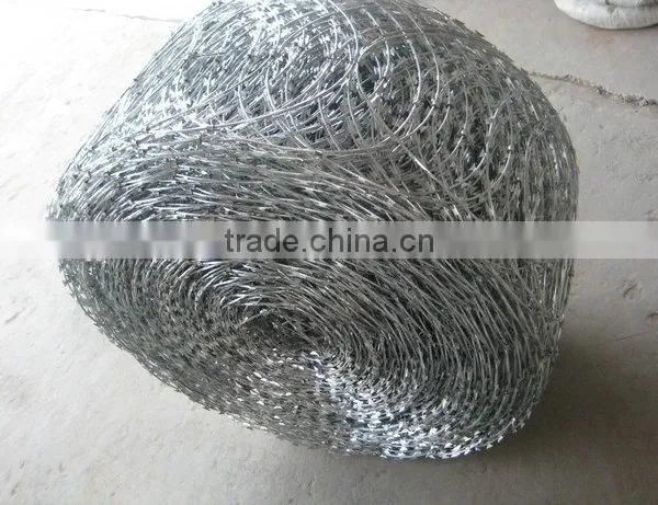 Concertina Razor Wire / Galvanized Concertina Razor Wire / Hight Security Razor Wire Fencing photo-3