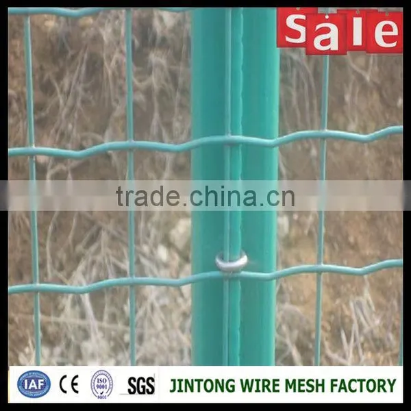 Cheap Holland Wire Mesh Dutch Welded Fence For Sale photo-4
