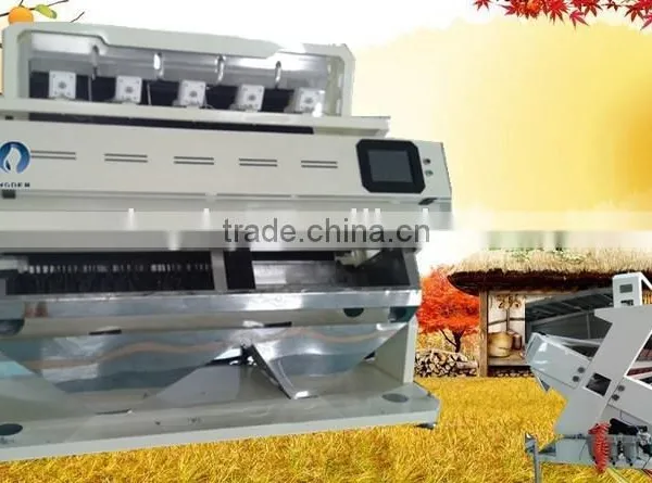 Super After-sale Service Ccd Color Sorter, Rice Sorting Machine 1 Year Warranty photo-4