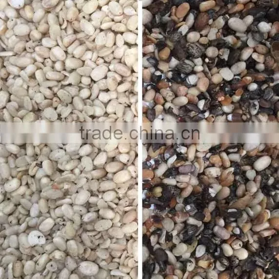 Pulses Color Sorter With High-resolution CCD Camera photo-3