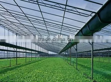 Transparent Greenhouse Fiberglass Panels photo-5