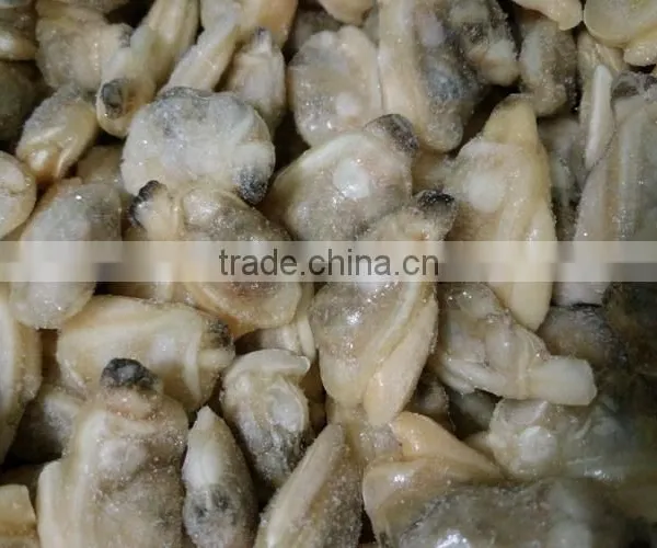 Dandong Taihua Cooked Baby Clam Without Shell for Export photo-2