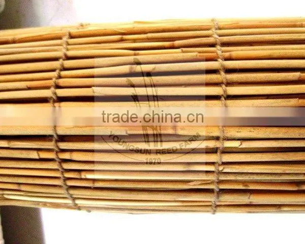 Reed Screening for Privacy in Garden photo-2
