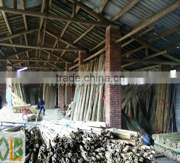 16~18mm 96cm Nature Color Raw Bamboo Poles With Thick Wall photo-4