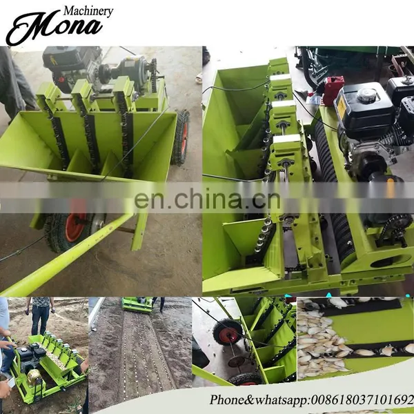 5 Rows Hand Garlic Planter for Precision Garlic Planting Machine Sale photo-5