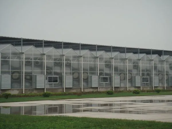 Commercial Air Ventilation Industial Extractor Fan for Poultryhouse photo-3