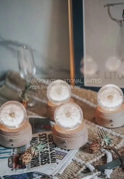 Dandelion Music Box photo-5