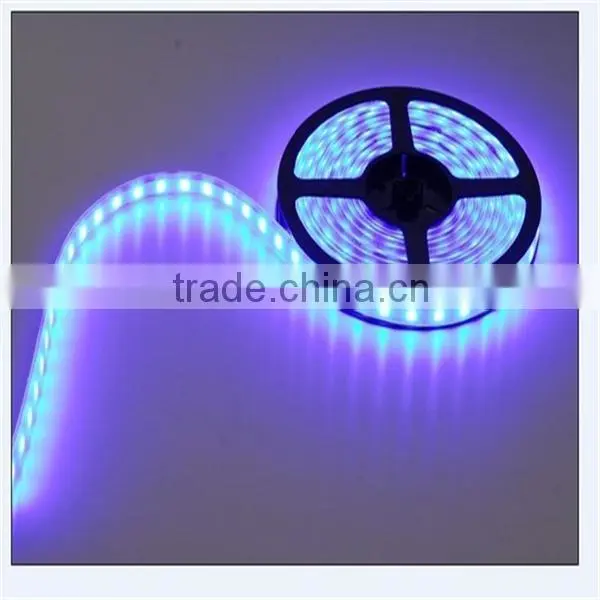 2016 Hot Sales DC12V Dimmable 60LED per Meter IP65 Waterproof Flexible Led Stripe Warm White SMD 5050 Led Strip Light photo-2