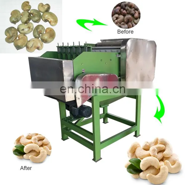 Cameroon Cashew Nut Packaging Cashew Peeling Machine in China photo-2