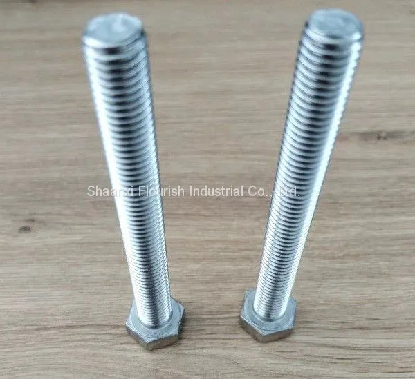 Stainless Steel 18 - 8 Full Coarse Thread Hex Head Tap Bolt With Six Sided Head photo-3
