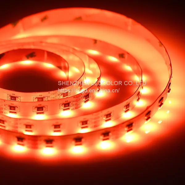 020 RGB DC24V 12V 60 LEDs/m Side Emitting Waterproof IP67 SMD High Lumen LED Flexible Strip Lights photo-5