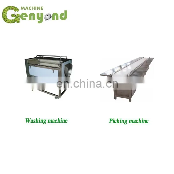 High Quality Frozen French Fries Chips Making Machine Processing Line Plants photo-4