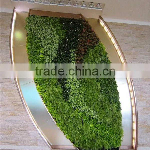 Yafei High Quality Artificial Grass Wall/artificial Green Wall/artificial Plant Decoration photo-3