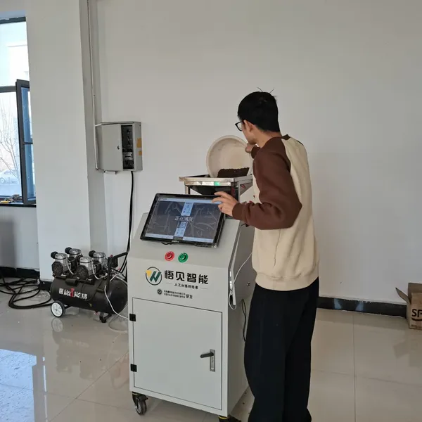 Nut AI intelligent sorting machine