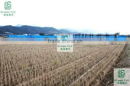 Strong HDPE Anti Wind Netting/anti Wind Net/windbreak Net photo-3