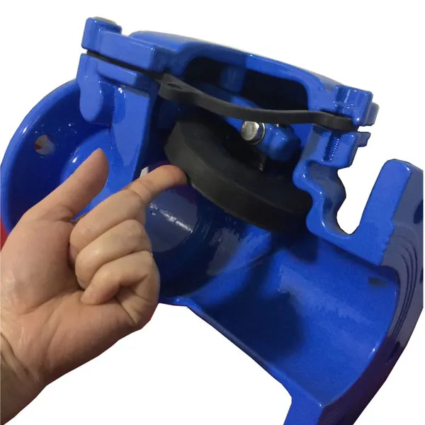 BS DIN Standard GGG50 Resilient Swing Check Valve Pn16 DI Ductile Iron Check Valve for Water photo-5