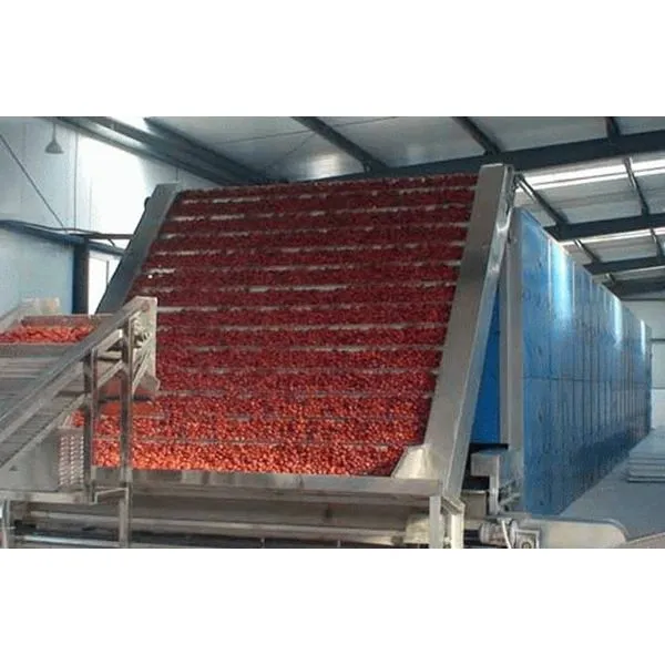 Candied Fruit Vegetable Processing Line Candied Blueberry Making Machine photo-4