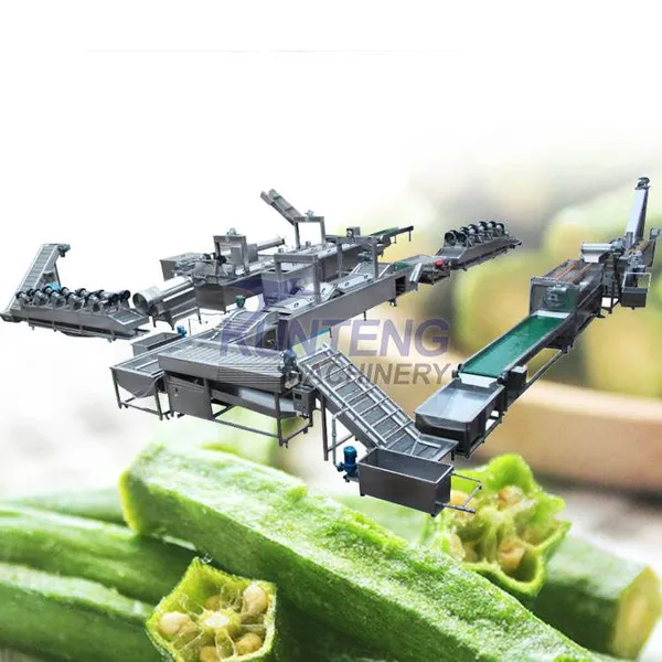 Fruit and Vegetable Crispy Frying Production Line Complete Set of Frying Assembly Line EPC