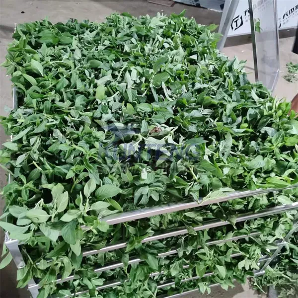 Cold Dryer 80 Trays Cooling Dehydration Fruit Drying Machine for Orange Blueberry Dry Peach Slice Dried Papaya Figs Making EPC photo-5