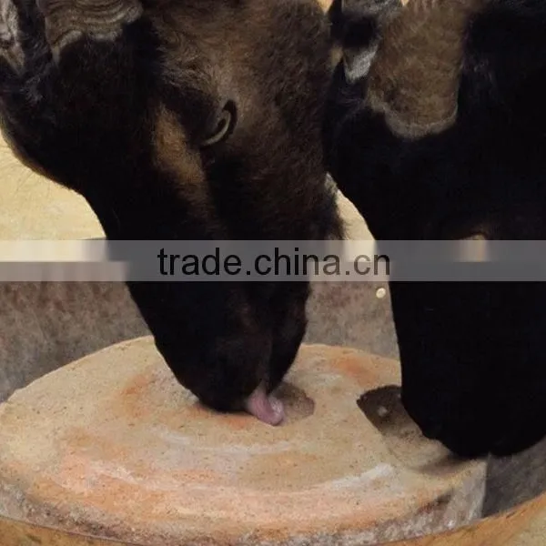 CE Approved Salt Blocks Machine for Cattle