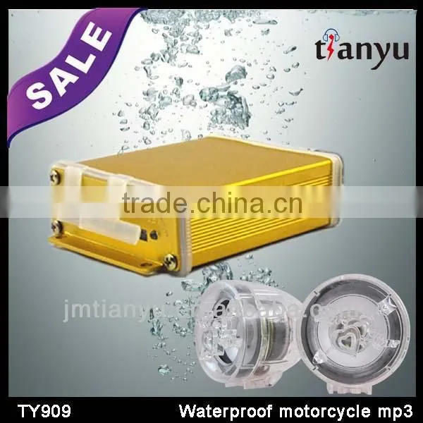 Jiangmen Tianyu DC12V Unique Waterproof Three Wheel 300cc