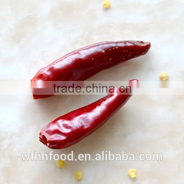 Tianying Small Chilli photo-3