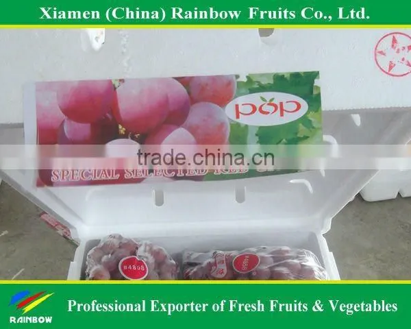 Global Grpaes/fresh Grapes Price photo-2