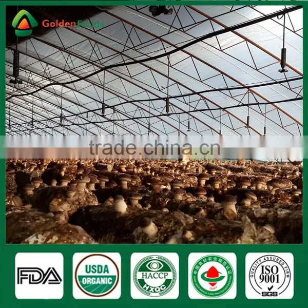 Fresh Dried Shiitake Mushroom Growing Shiitake Mushroom Log Spawn for Mushroom Farm photo-2