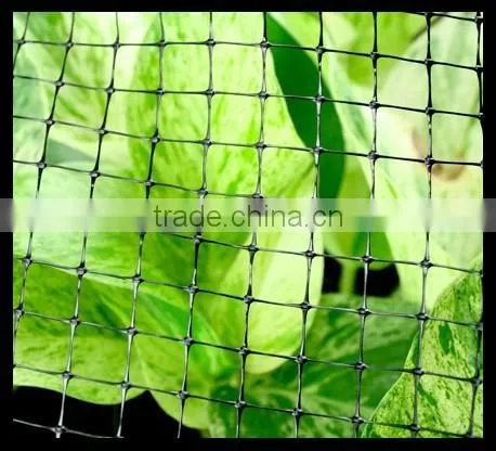 Stretched Plastic Fruit | Tree Protect Antibird Nets photo-3