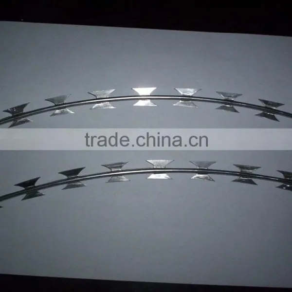 Low Price Razor Wire Fencing/razor Barbed Wire photo-4