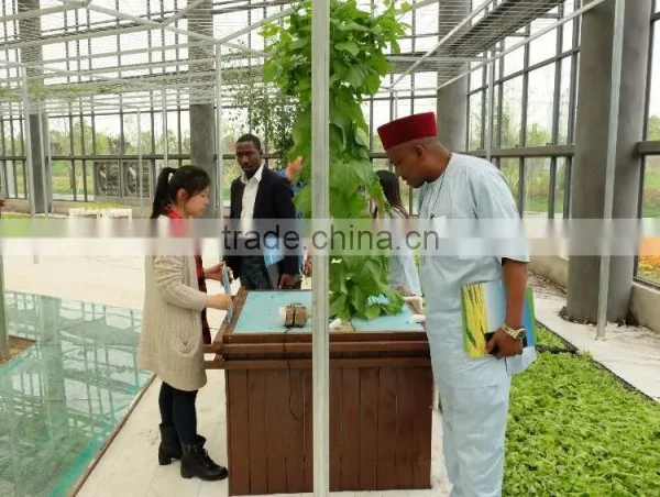 Hydroponic Frame , Hydroponic System,hydroponic for Greenhouse photo-2