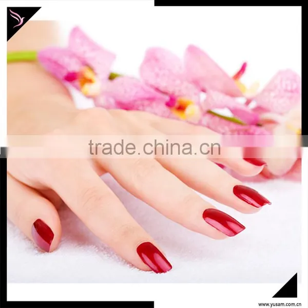 2016 Popular and Fashion 200 Colors Nail Polish for Lady Wholesales Comestic Nail Polish photo-5