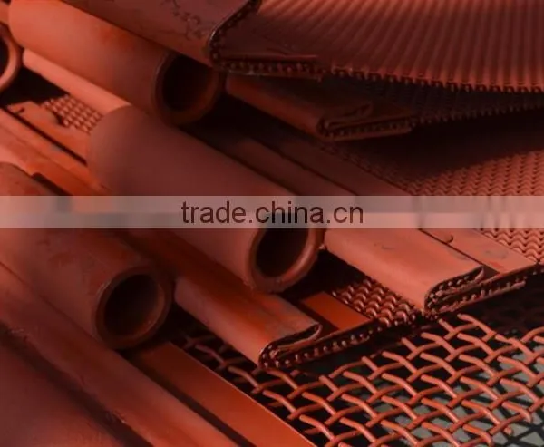 304 or Galvanized Crimped Wire Mesh From China Anping photo-4