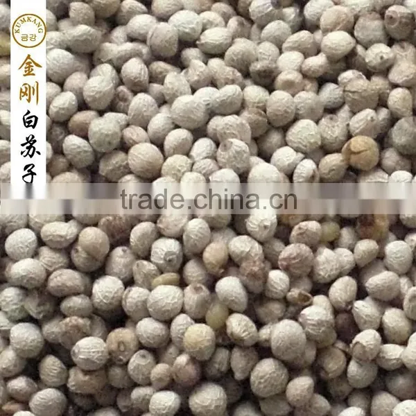 Perilla Seed for Birds/white Perilla Seed for Sale Supplier's Choice photo-3