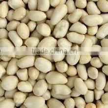 Chinese Blanched Peanut Kernels in Round Shape for Sale photo-3