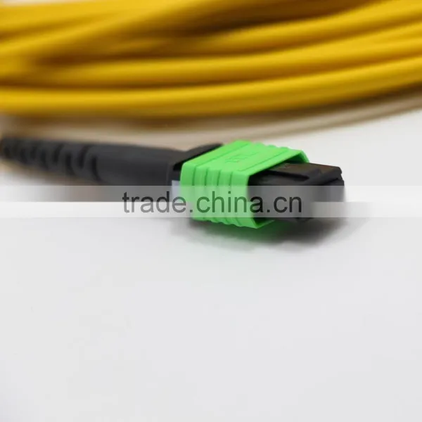 China Supplier MPO/MTP Patch Cable photo-2