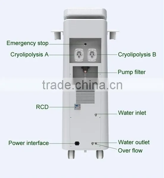 Skin Tightening Newest Cryo Slimming Zeltiq Fat Freeze Machines Cryolipolysis Laser photo-2