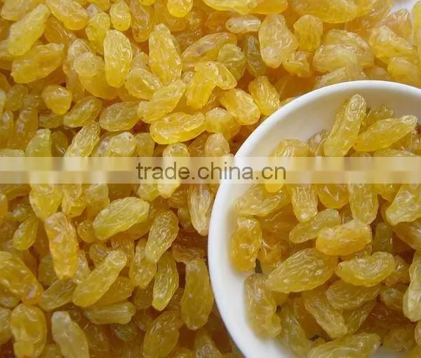 Golden Raisins