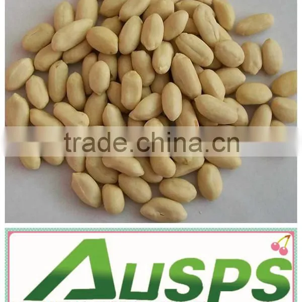 new crop Chinese blanched peanut kernels