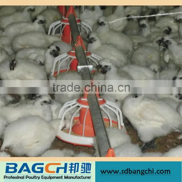Bangchi Poultry Automatic Equipment Feeding and Drinking System photo-2