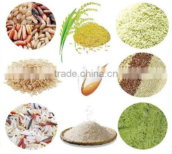 Nutrition Rice/Artificial Rice Process Machine photo-5