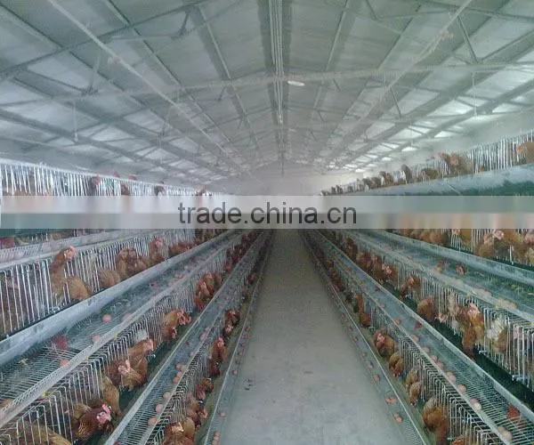 Chiken Egg Poultry Farm Equipment/chicken Cage for Sale/automatic Chicken Layer Cage photo-2