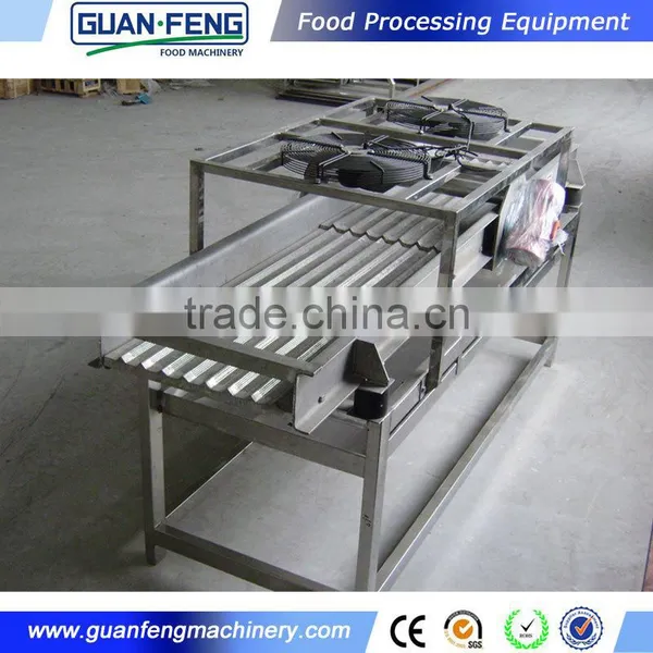 Dehydrated Vegetable Processing Dried Fruit Production Line photo-6